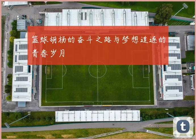 篮球胡杨的奋斗之路与梦想追逐的青春岁月