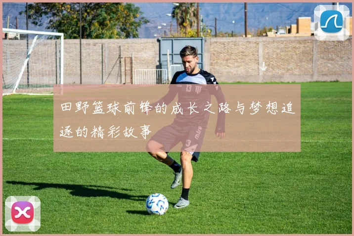 田野篮球前锋的成长之路与梦想追逐的精彩故事