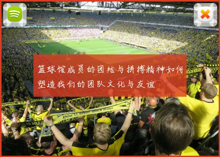 篮球馆成员的团结与拼搏精神如何塑造我们的团队文化与友谊